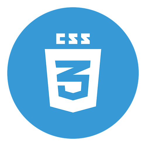 logo-css